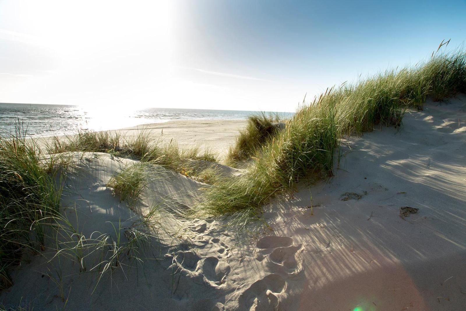 Barmouth Bay Holiday Park Llanddwywe Esterno foto